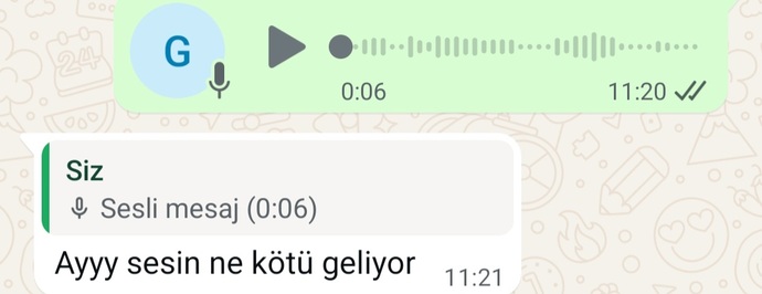 Bu sesle size türkü söylem mi jsjsjs