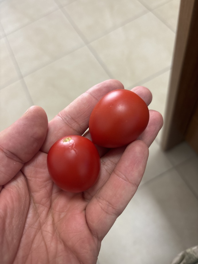 Ruh eşini, diğer yarını bulabildin mi?