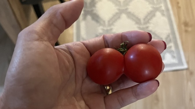 Ruh eşini, diğer yarını bulabildin mi?