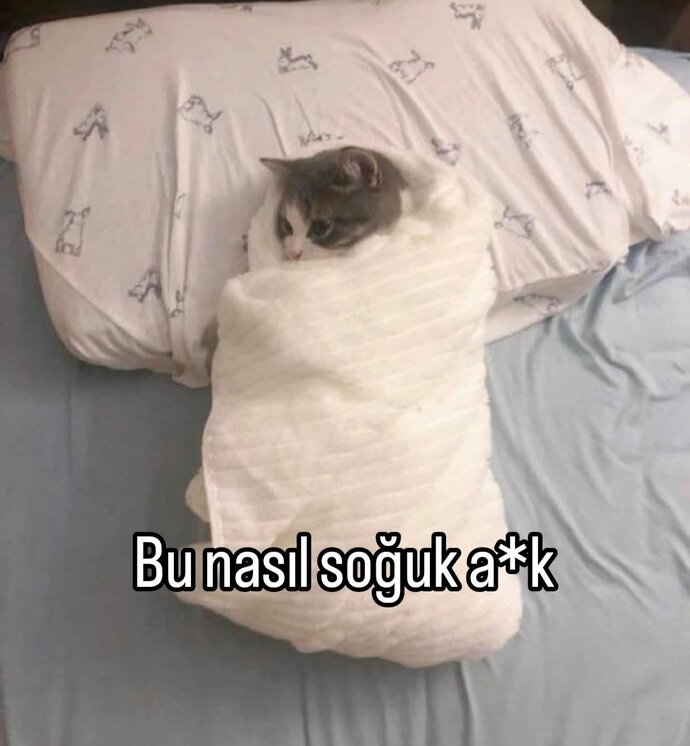 Hava soğudu mutlu musunuz ?