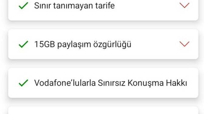 Alınır mı sizce?