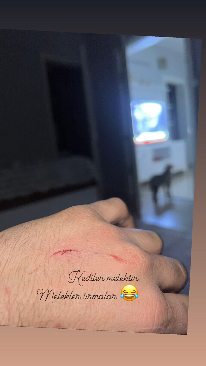 Bu at hırsızlarına hoca diyen var mı hala?