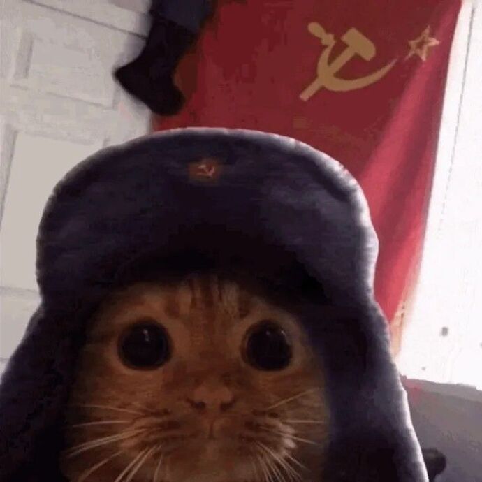 Liberalizm mi komünizm mi?