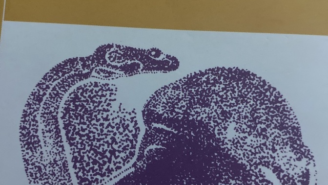Bir kitabın konusu size hem dehşet verip hem merak uyandırabilir mi?