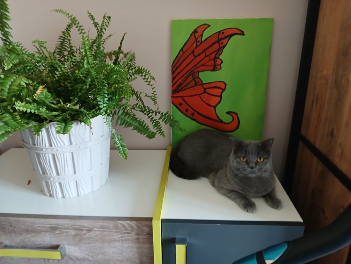 Bizim kedi nasıl?