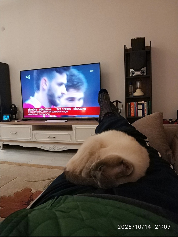 Bizim kedi nasıl?