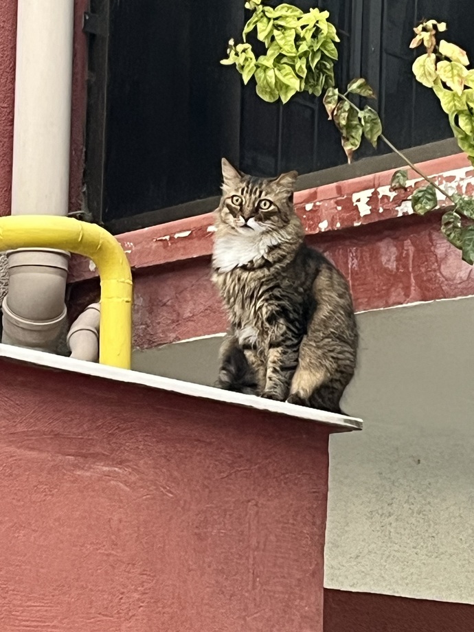 Çevrenizde size enerji veren/iyi hissettiren birileri var mı?