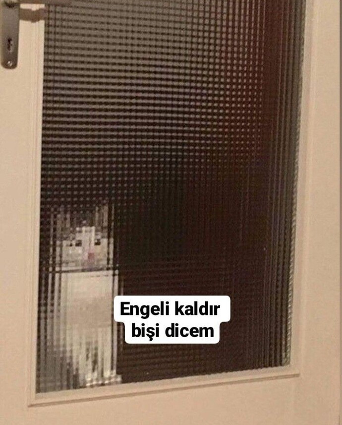 Eski sevgiliniz engelinizi kaldırsa direkt yazar mısınız?