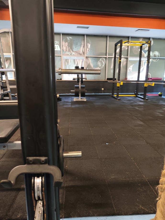 Sabah erkenden fitness yapmayı sever misiniz?