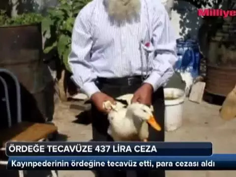 Ördek sendromu hakkındaki fikirleriniz nelerdir?