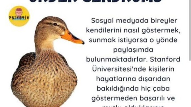 Ördek sendromu hakkındaki fikirleriniz nelerdir?