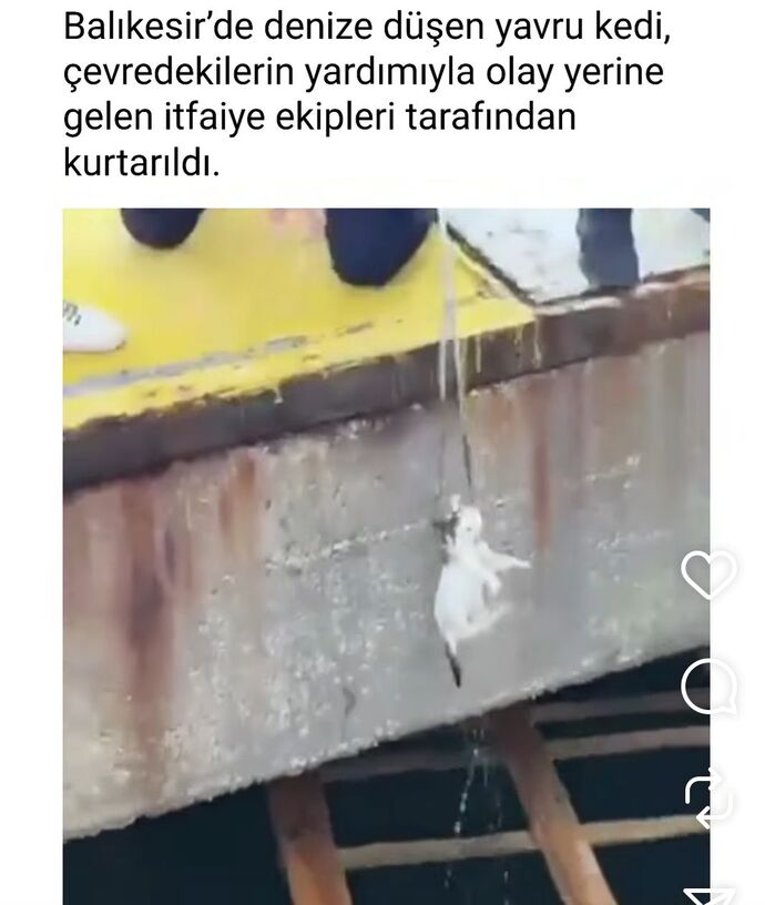 Ben düşsem kimse kurtarmaz😂