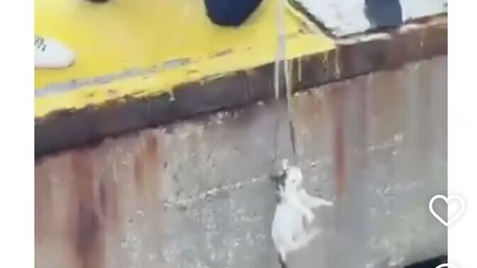 Yardım eden insanların merhametini görünce seviniyorum sizde öyle misiniz?
