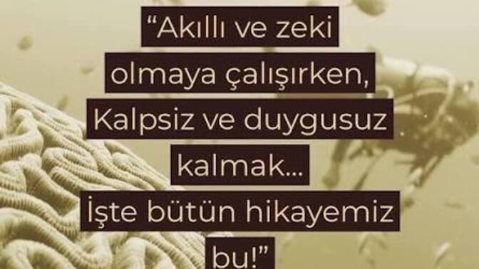 Mantık ile hareket mi duygular ile hareket mi daha doğru olur?