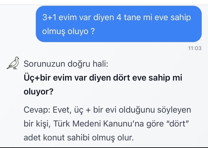 Yapmak zorunda mıydınız?