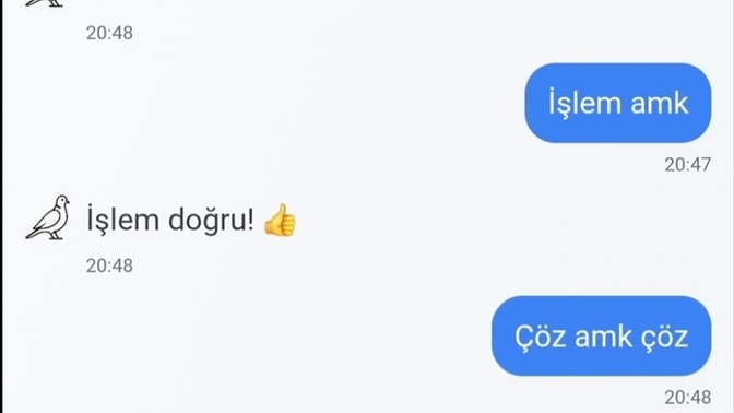 Yapmak zorunda mıydınız?