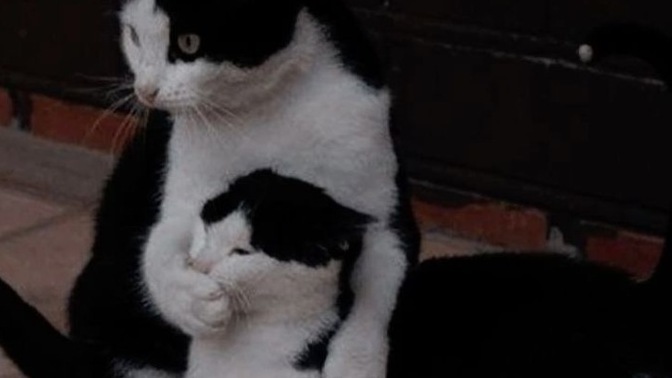 Tartışma anında susan taraf mısınız , yoksa susturan mı?