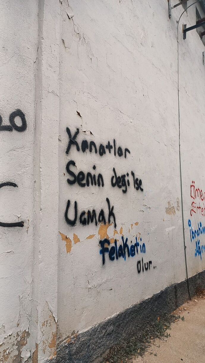 Tavuklar en çok hangi ülkeyi severler?