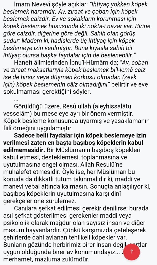 Sokak köpekleri hakkındaki bu dini bilgi hakkında ne düşünüyorsunuz?
