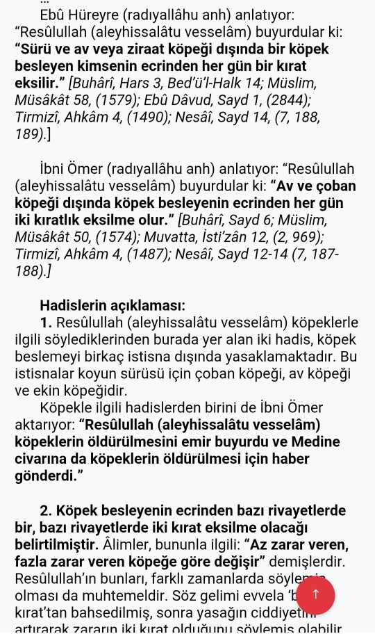 Sokak köpekleri hakkındaki bu dini bilgi hakkında ne düşünüyorsunuz?