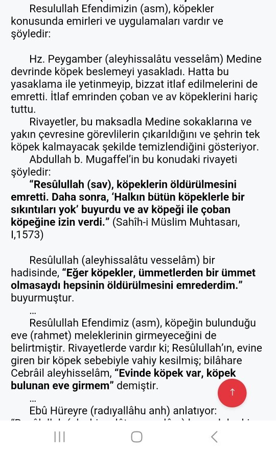 Sokak köpekleri hakkındaki bu dini bilgi hakkında ne düşünüyorsunuz?