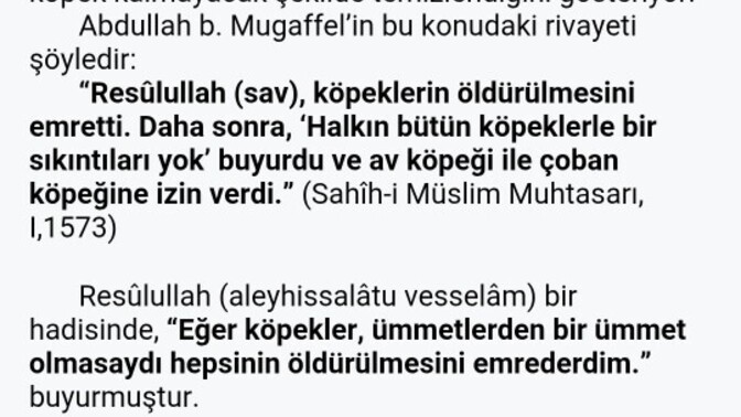 Sokak köpekleri hakkındaki bu dini bilgi hakkında ne düşünüyorsunuz?