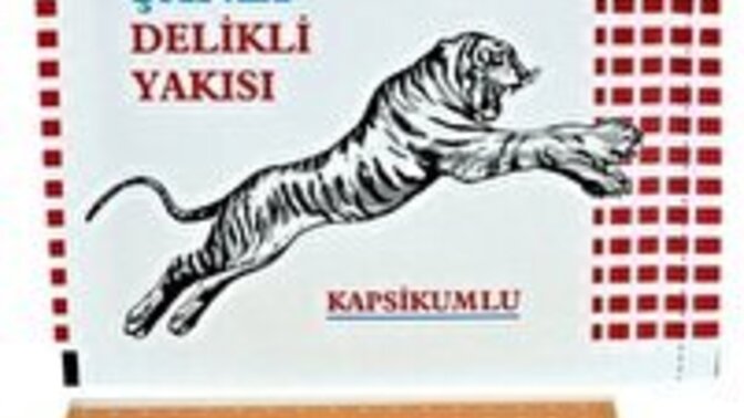Hiç yakı kullandınız mı?