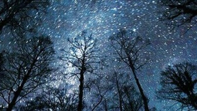 Bu dünyanın iğrenç adaletsiz ve mazlumun güçsüzün ezilip durduğu düzeni varken şükredip memnun olanlar bencil vicdanszlar değilmi?