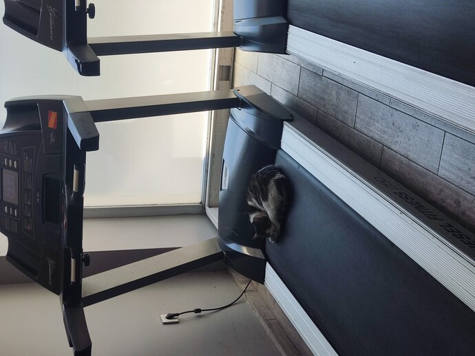 Spor salonunda bir spor arkadaşınız var mı?