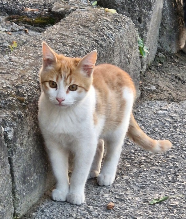 En son neyin fotoğrafını çektiniz?