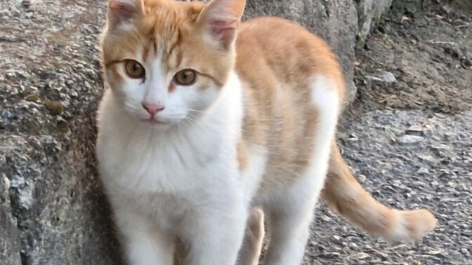 En son neyin fotoğrafını çektiniz?