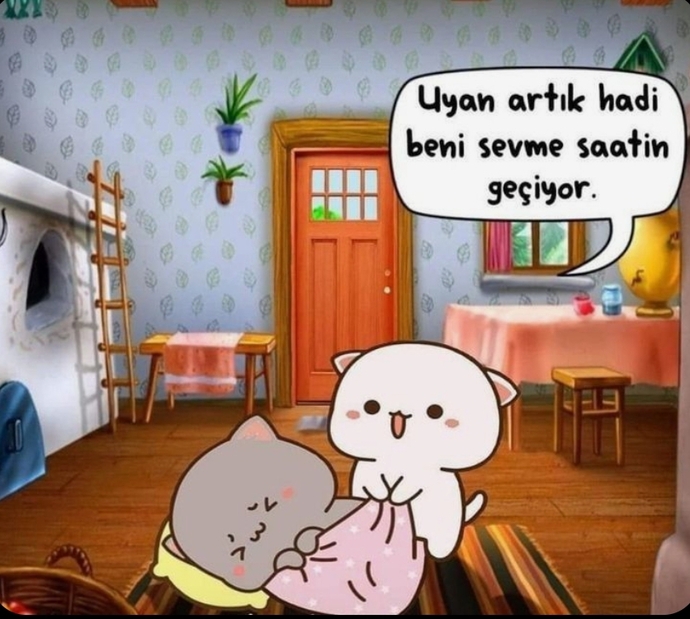Yeter da çok uyudunuz saat 6dan uyandık hadii uyuyonuz mu dahaa?