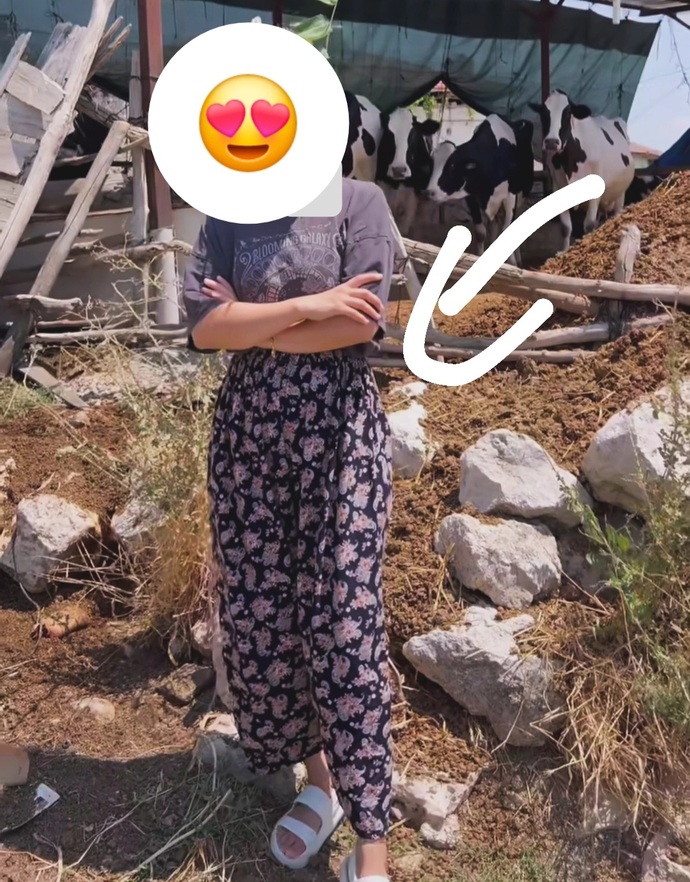 Arkadaki inek niye bana öyle bakıyor ki halbuki fotoğrafım güzel çıksın diye kafama sadece çalı bıraktım😜?