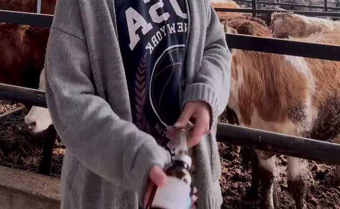 Baytar abi iğne yaptığımı görünce gel yanımda çalış dedi sahte diplomayı nerden alıyoruz😜?