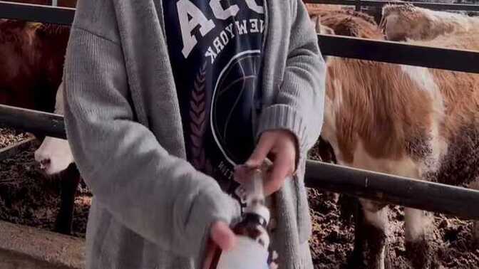 Baytar abi iğne yaptığımı görünce gel yanımda çalış dedi sahte diplomayı nerden alıyoruz😜?