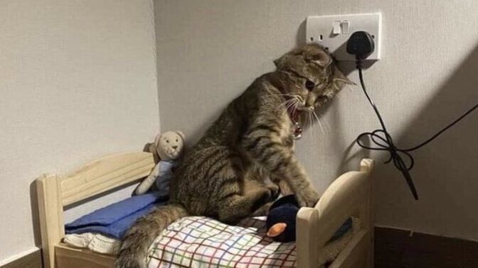 Çok sıkıldım napiyosunuz?