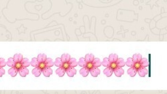 Erkeklere çiçek emojisi atılır mı , sizde nasıl hissiyat uyandırıyor?