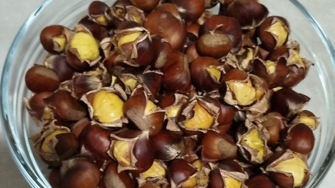 Kestane dönemi başlamış, fiyatlara baktınız mı?