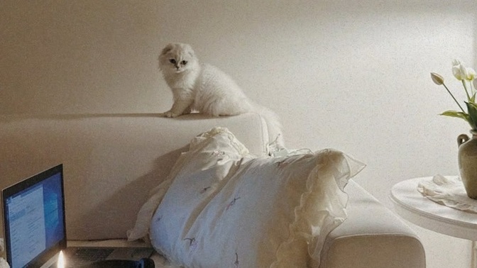 Hangi animasyon filmi izleyelim?