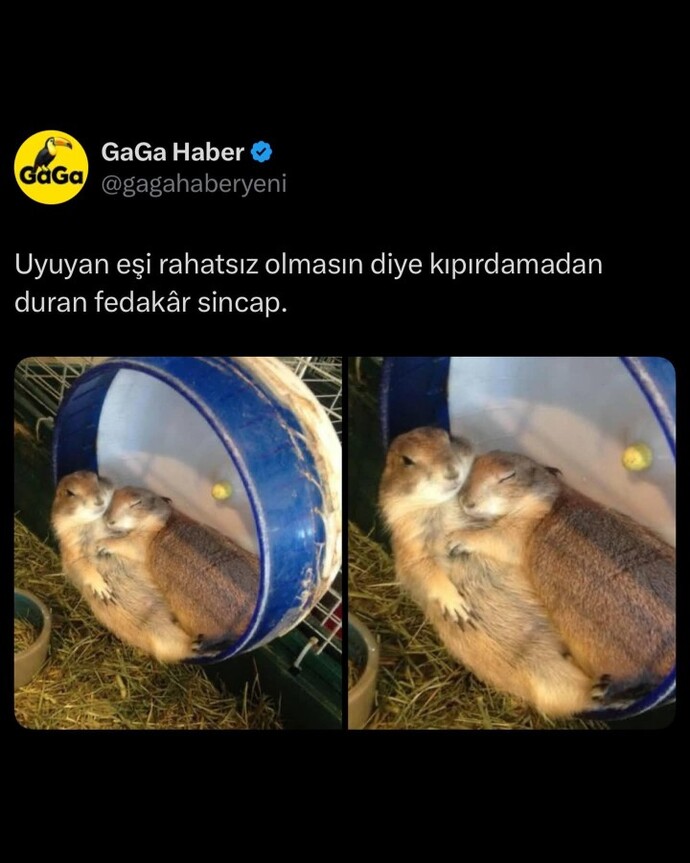 Ne kadar fedakarsınız?