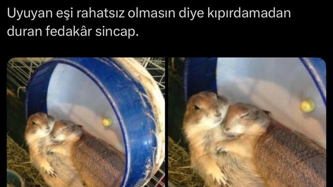 Ne kadar fedakarsınız?
