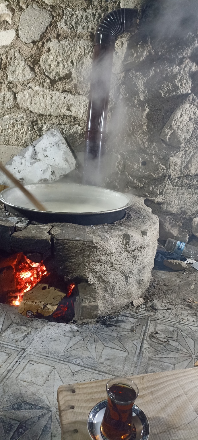 Tuzlu yoğurt yaparmisiniz?