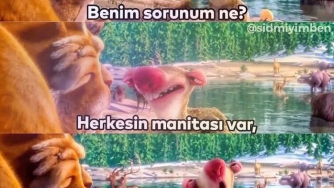 Manitanız var mıı?