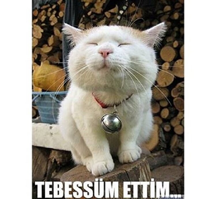 Hep yeniden başlamak istediğin birisi var mı?