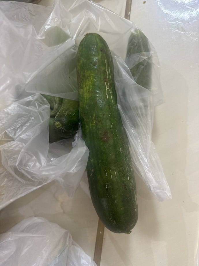 Bu hıyarlar hormonlu mu bu kadar büyük?