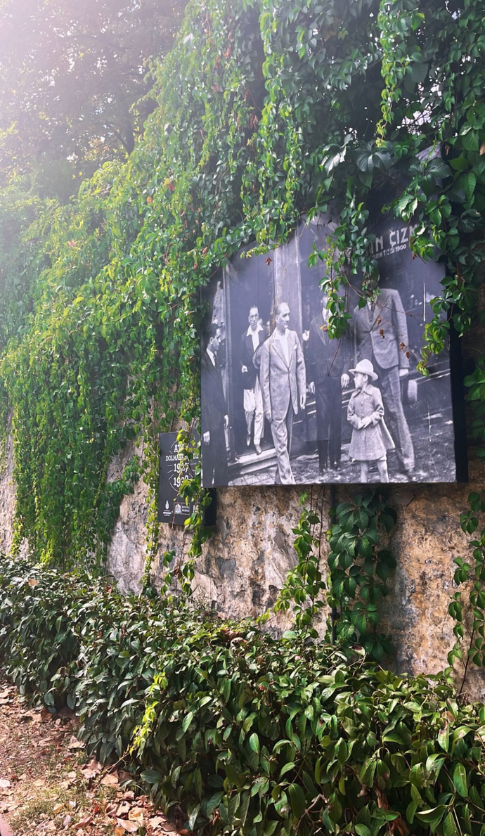 Gördüğünüz güzel şeylerin fotoğrafını çeker misiniz 📸? En son çektiğiniz "harikulade" şeyi bana gönderin desemm 😊?