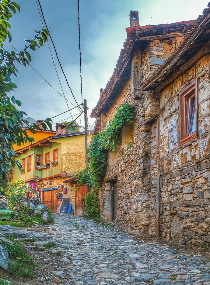 Hangi köylüsün?