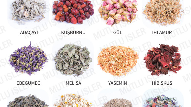 En sevdiğiniz çay hangisi?
