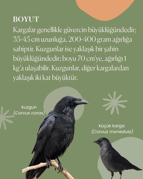 Düşünmenin bir sınırı var mı?