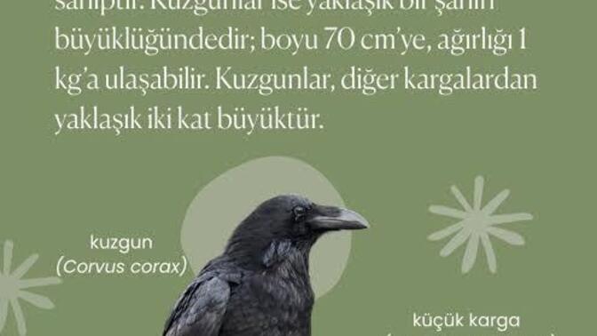 Düşünmenin bir sınırı var mı?